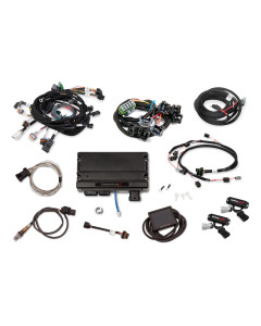 Holley Terminator X Ford 2V Mod motor