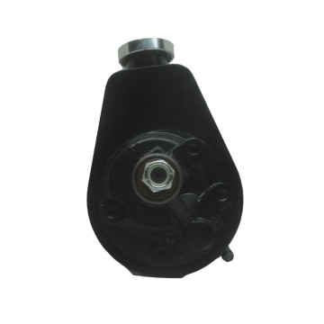 Servopumpe Lares Saginaw P Serie